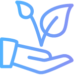 icon 4
